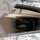 Luxury Dog 이미지