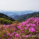 은행나무길카센터 이미지