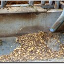 청정한우농장 이미지