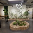 반포대로24길 81 이미지