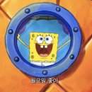 스펀지영천 네이버블로그