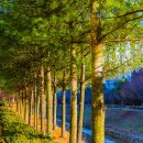 겨울나그네 이미지