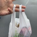 트립패밀리 이미지