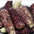 홍천냉동 이미지