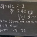 번식왕의브리딩센터