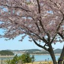 라모스리조트 이미지