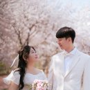 드로잉스냅 네이버블로그