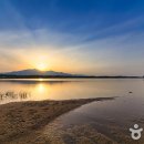 양양 발렌타인 애견펜션 이미지