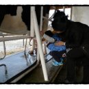 승민목장 이미지