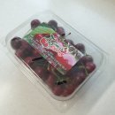 예산림스체리 맛있는 림스체리 체리농장체험 예산나들이 좋아