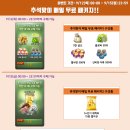 영빛