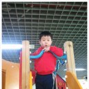 멀티플레이존 이미지