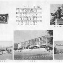 김해봉황초등학교이화분교장 이미지