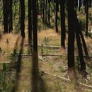 좋은세상 이미지