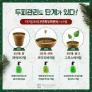 앙포레모리노헤어 - 전주시 완산구 새터로 122-23 | 앙포레모리노헤어