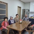 백포경로당 Daum카페