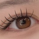 금곡동 9-3 이미지