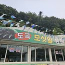 도곡모싯잎송편