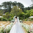 풀빛그림 | 제주 화목원 본식스냅 촬영 후기