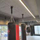 이엑스 복싱(EX BOXING) | EX복싱(이엑스복싱)체육관 정규링 제작설치