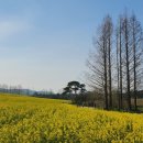 남선농장 이미지