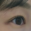 미쁘당 | 구리 속눈썹 잘하는곳 '미쁘당' 속눈썹펌 후기
