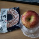 [일상] 25년의 1월, 남은 이야기