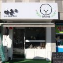 댕댕이샾 이미지