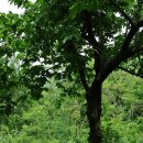 용고개농장 이미지