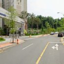 양지로·양지남로 이미지