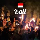 GoGoSing | 🇮🇩 인도네시아 발리 여행 추천 나이트 사파리 앤 마린파크 동물원 Bail Safari &amp; Marine Park 후기!