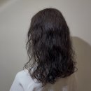 유지미용실 - 익산시 | ✂️잠실 히피펌 잘하는 미용실 후기｜유지기간, 손질 쉬운 히피펌 (무드영헤어 다희디자이너)