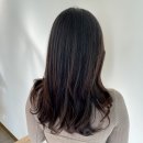 해운대 장산역 미용실 레이어드컷 빌드펌 잘하는 마이네스트헤어