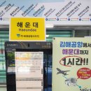 해운대 대 동일 이미지