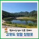 보람관광 | [영월 반값여행] 1일차 오전 코스: 여전히 핫한 청령포 & 영월관광센터 후기