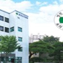 서울영천손한의원 Daum카페