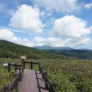 곰배령화원 이미지