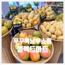 남부제일약국 | 푸꾸옥 쇼핑할만한곳 남부 선셋타운 대형마트 셀렉트마트 베트남쇼핑추천템