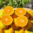 가온길하우스 이미지