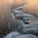 대무체육관 이미지