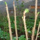 새이모퉁이 이미지