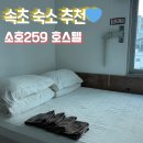 259 | 속초 숙소 추천 소호259 호스텔 후기｜커플룸 더블룸 솔직 리뷰 (속초 시외버스터미널 바로 뒤!)