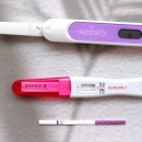 고감도어린이집 | 슈얼리 임신테스트기 종류 다양하고 좋은 후기