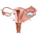 분당우리산부인과의원 이미지