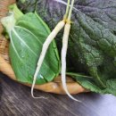 알리바이 쌍촌점 | 4월 마지막 주 - 푸르던