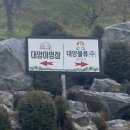 『칠곡 캠핑장 대양야영장 캠프닉』 숙박 필요없는 가벼운 캠프닉 2번 이용 후기