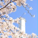 올치한의원 이미지