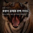 백호상사 | 호랑이 꿈 해몽, 물리는 꿈부터 백호 태몽까지 상황별 해석