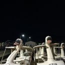 일광여관 | 일광해수욕장 포차 술집, 야간 파라솔 무료 대여 정보