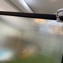 내가할개 이미지